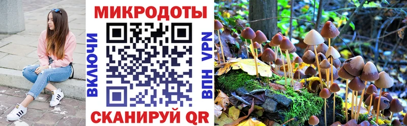Галлюциногенные грибы Psilocybine cubensis  Купить  Донецк 
